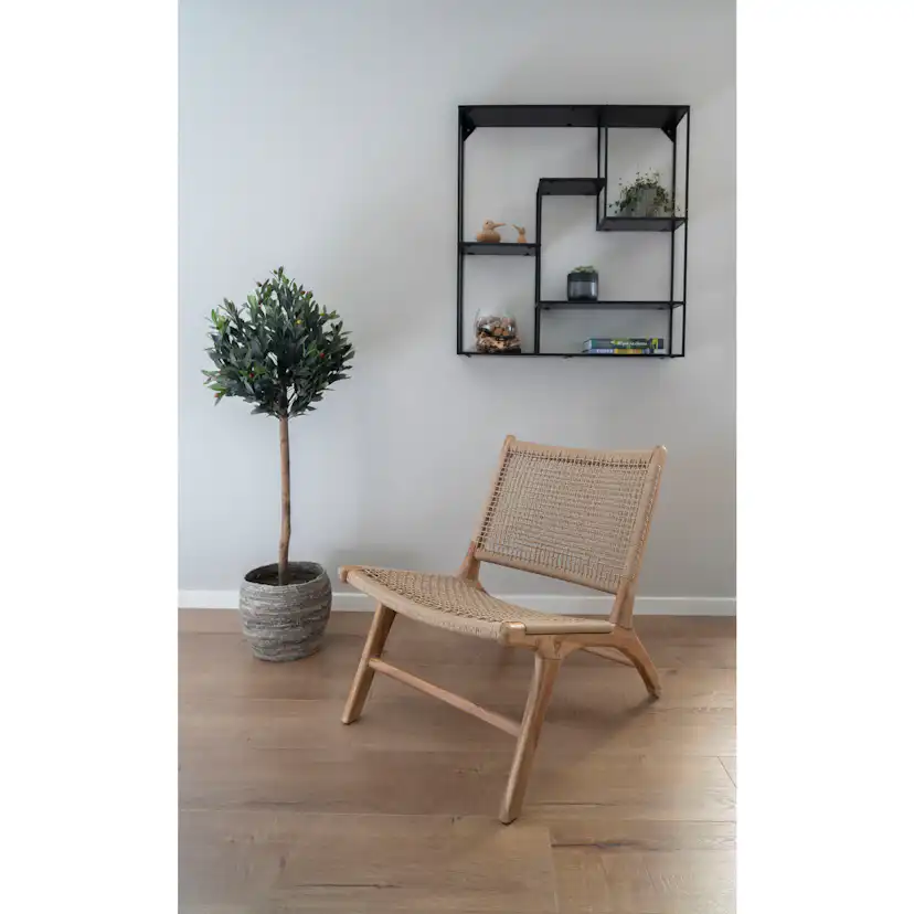 Konstväxt House Nordic Olive
