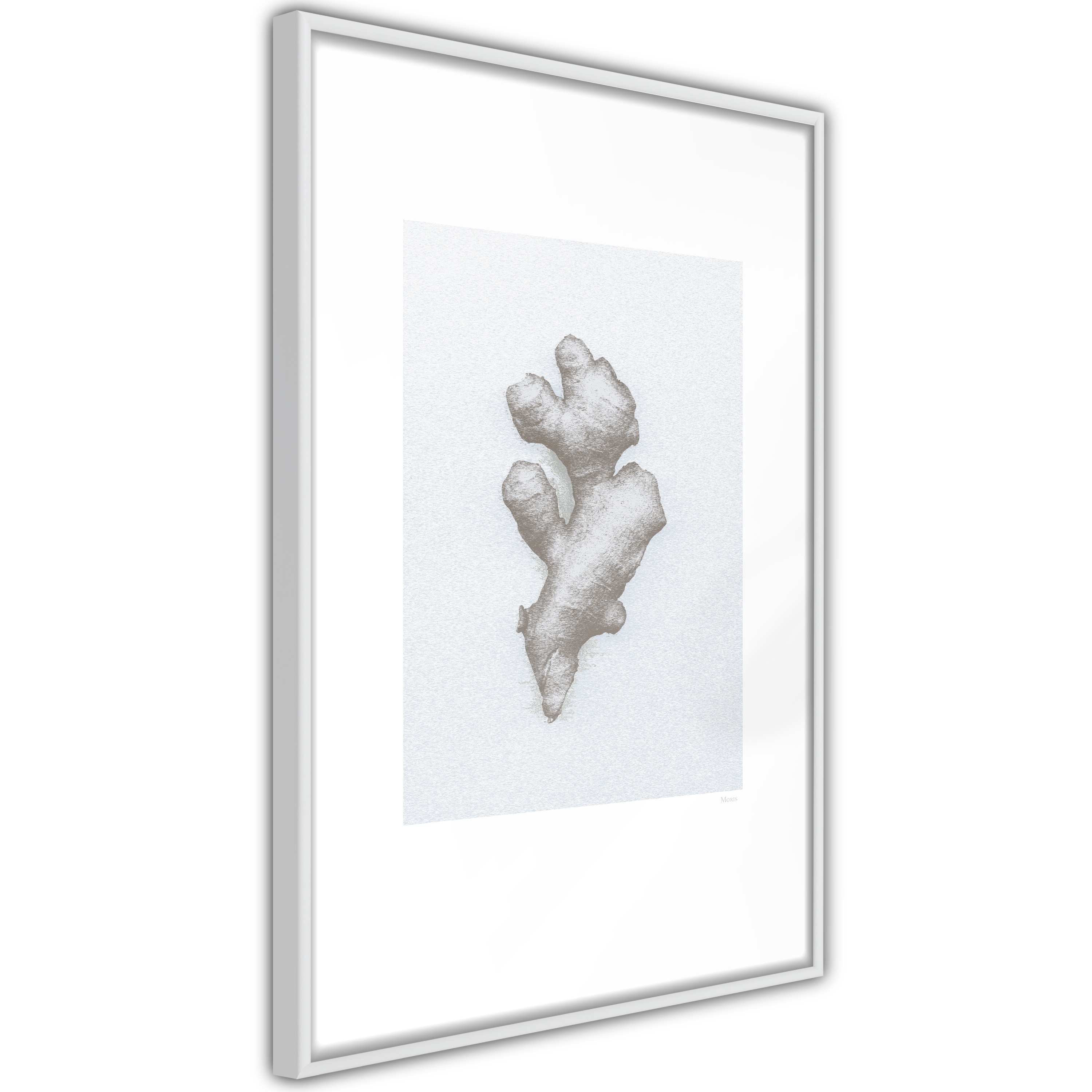 Poster Artgeist Affisch Ginger