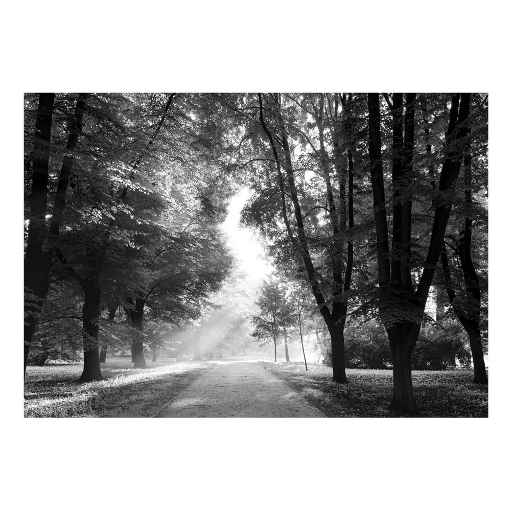 Fototapet Arkiio Självhäftande Path Of Memories