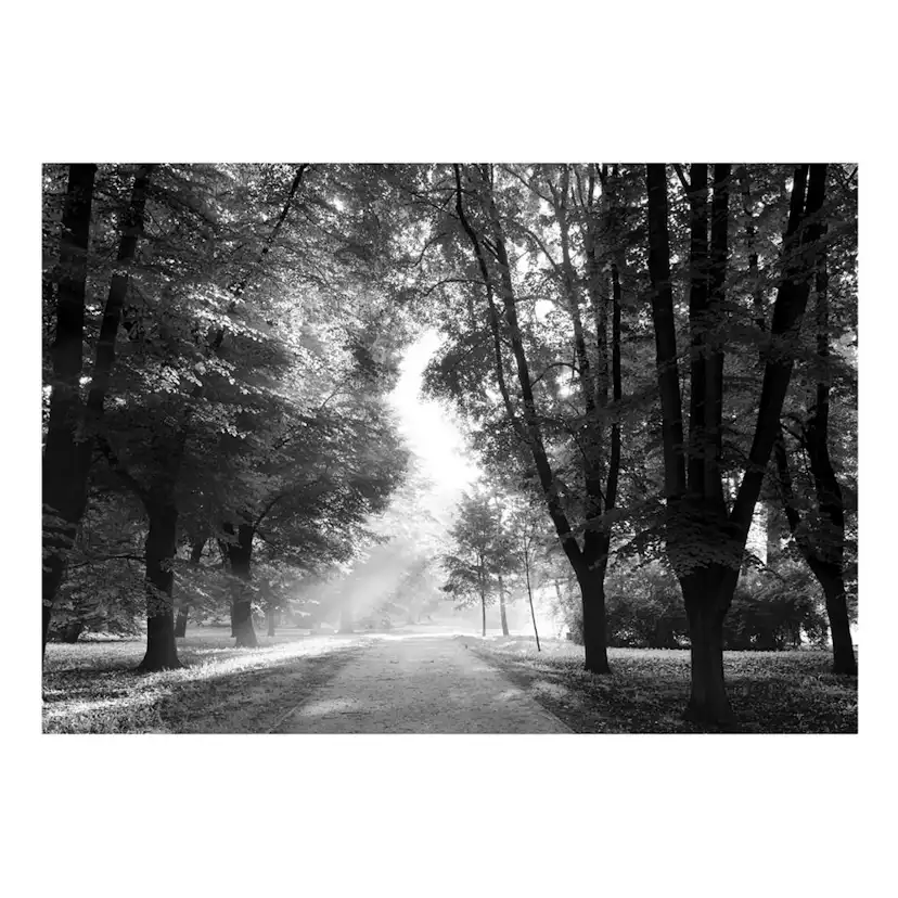 Fototapet Arkiio Självhäftande Path Of Memories