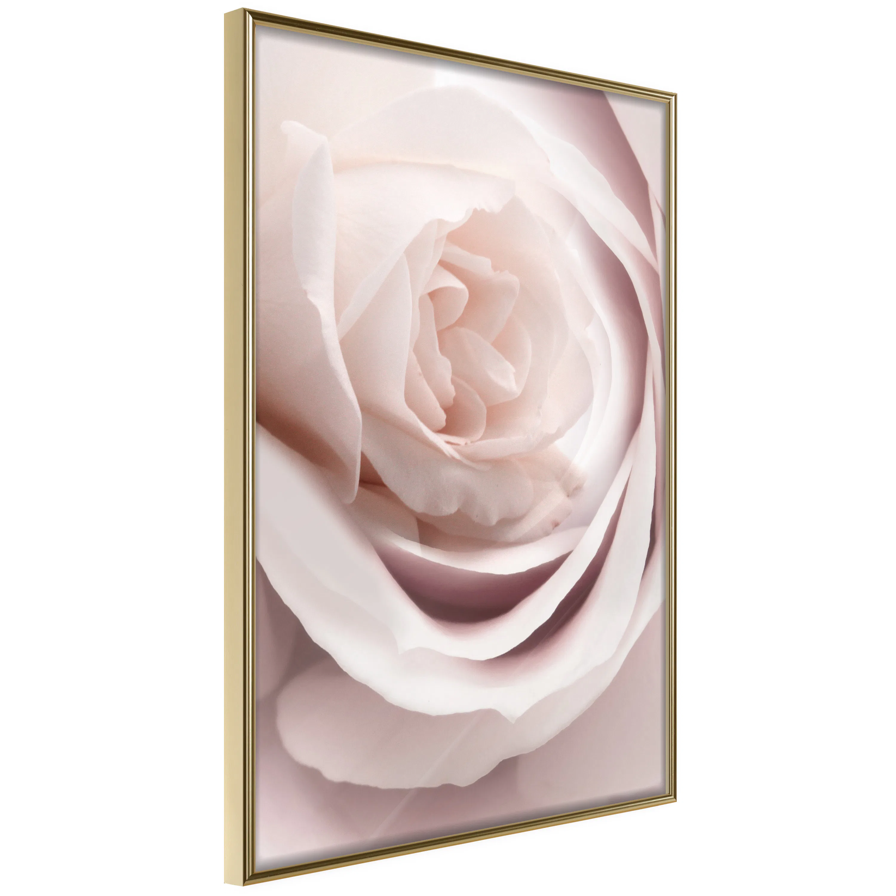 Poster Artgeist Affisch Porcelain Rose