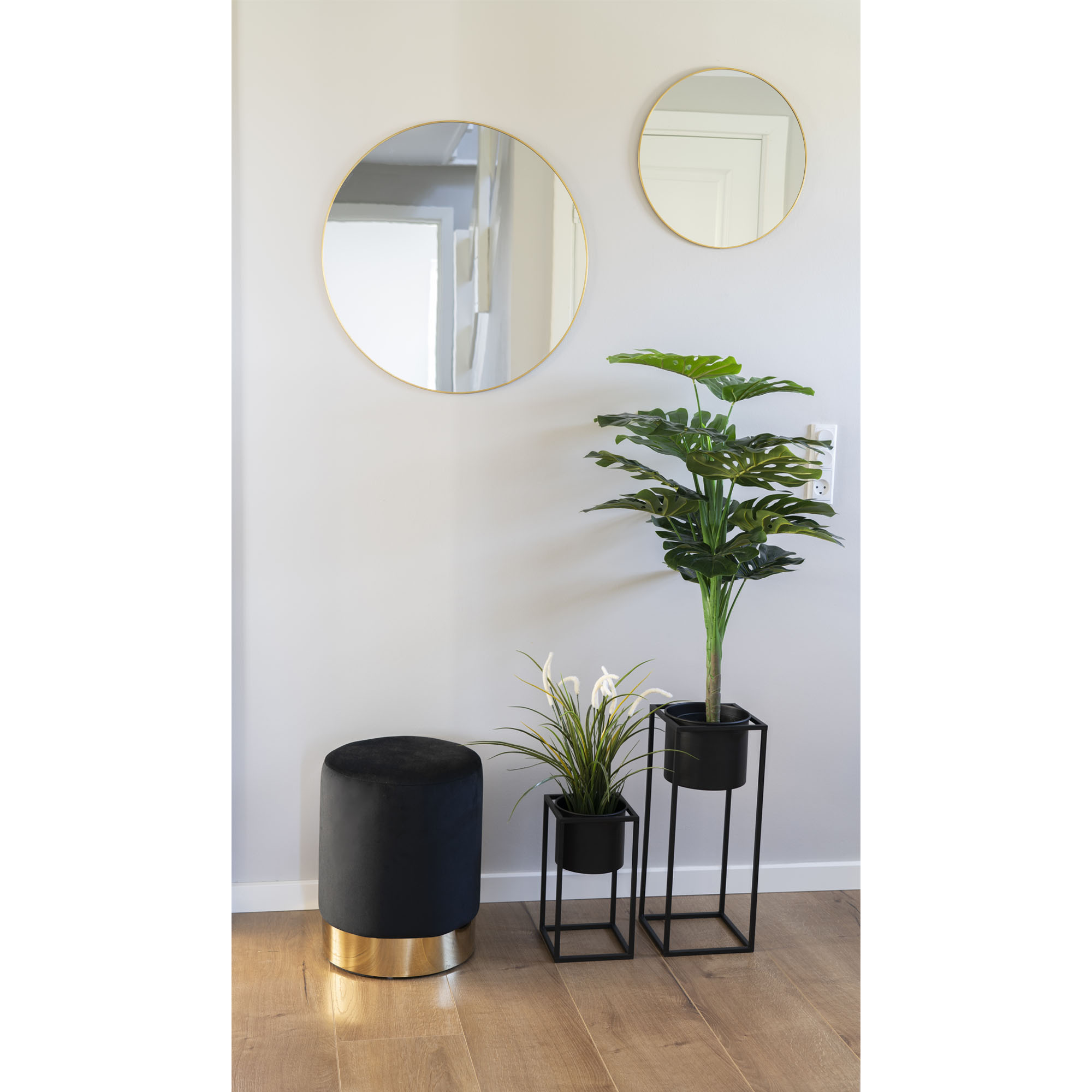 Konstväxt House Nordic Monstera