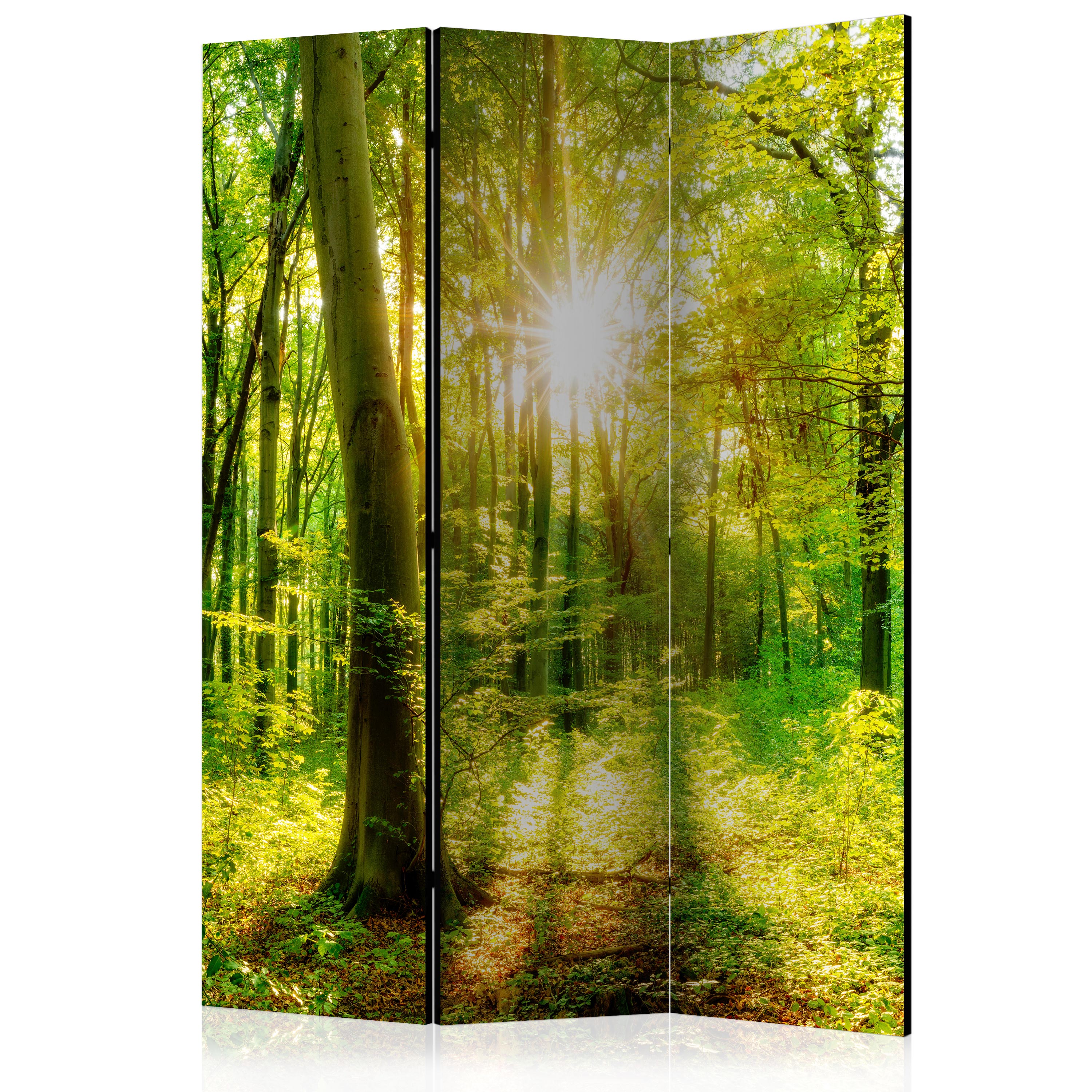 Rumsavdelare Skärmvägg Arkiio Forest Rays 135x172 cm
