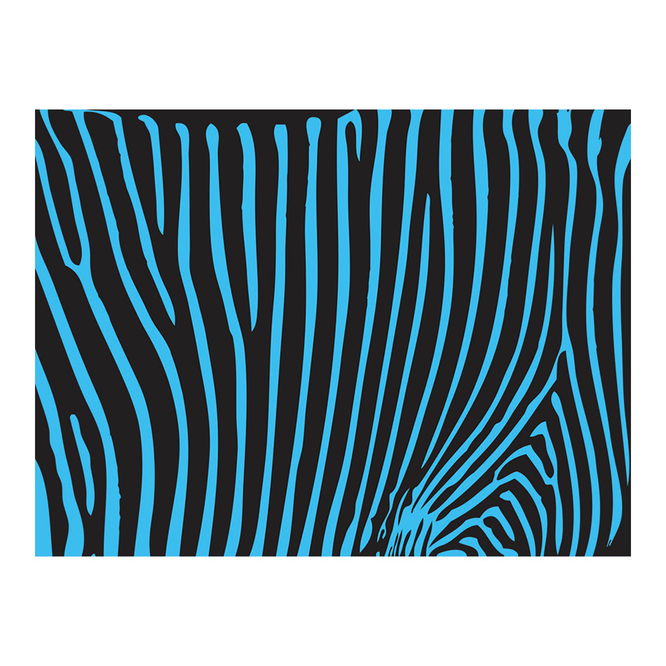 Zebra pattern (turkos) 250x193 Storlek: 250x193 cm