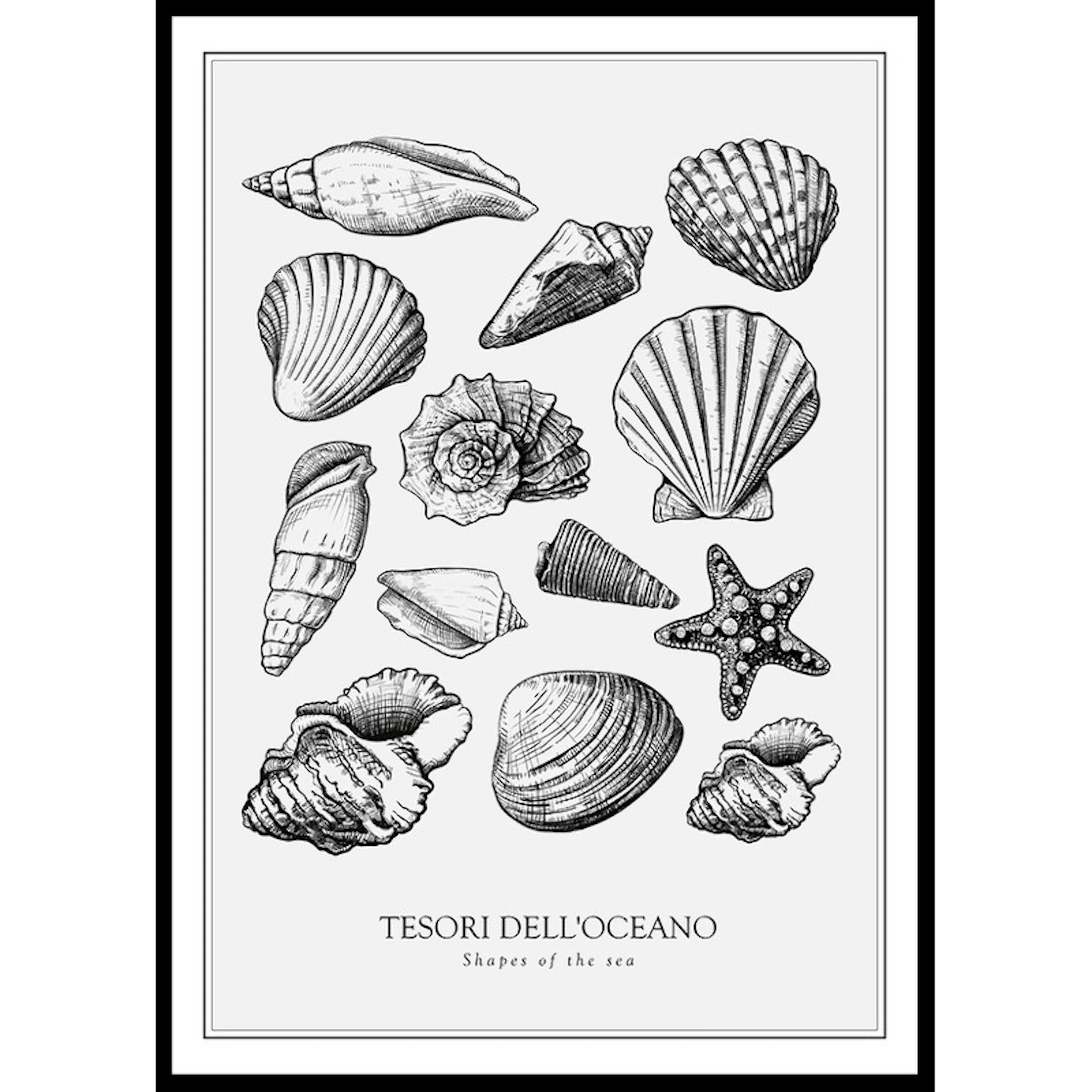 Tesori Dell'Oceano 30x40 30x40 cm