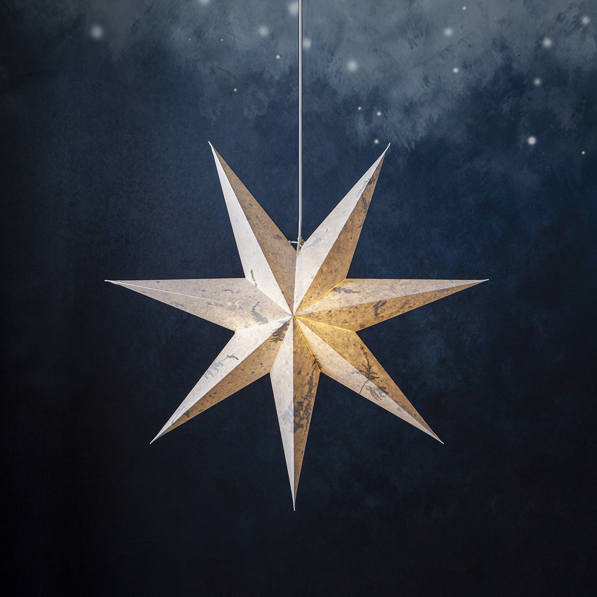 Adventsstjärna Star Trading Care Pappersstjärna