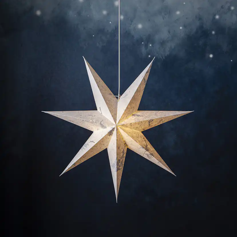 Adventsstjärna Star Trading Care Pappersstjärna