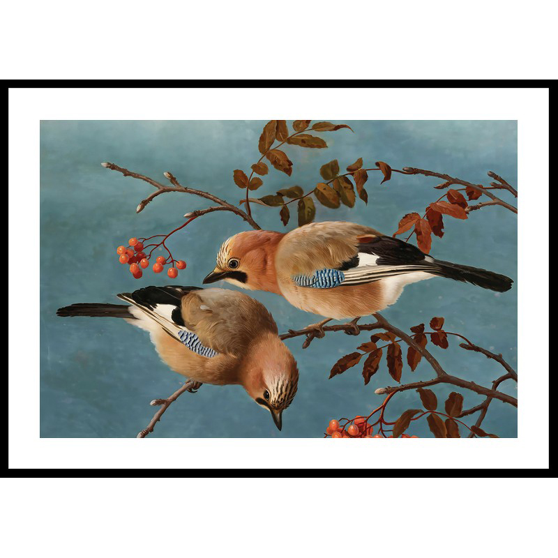 Poster Gallerix Jays By Ferdinand Von Wright