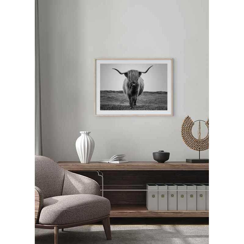 Poster Gallerix Highland Cattle B&W