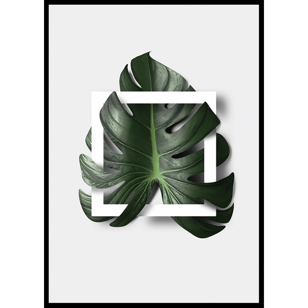 Poster Gallerix Monstera Boxed