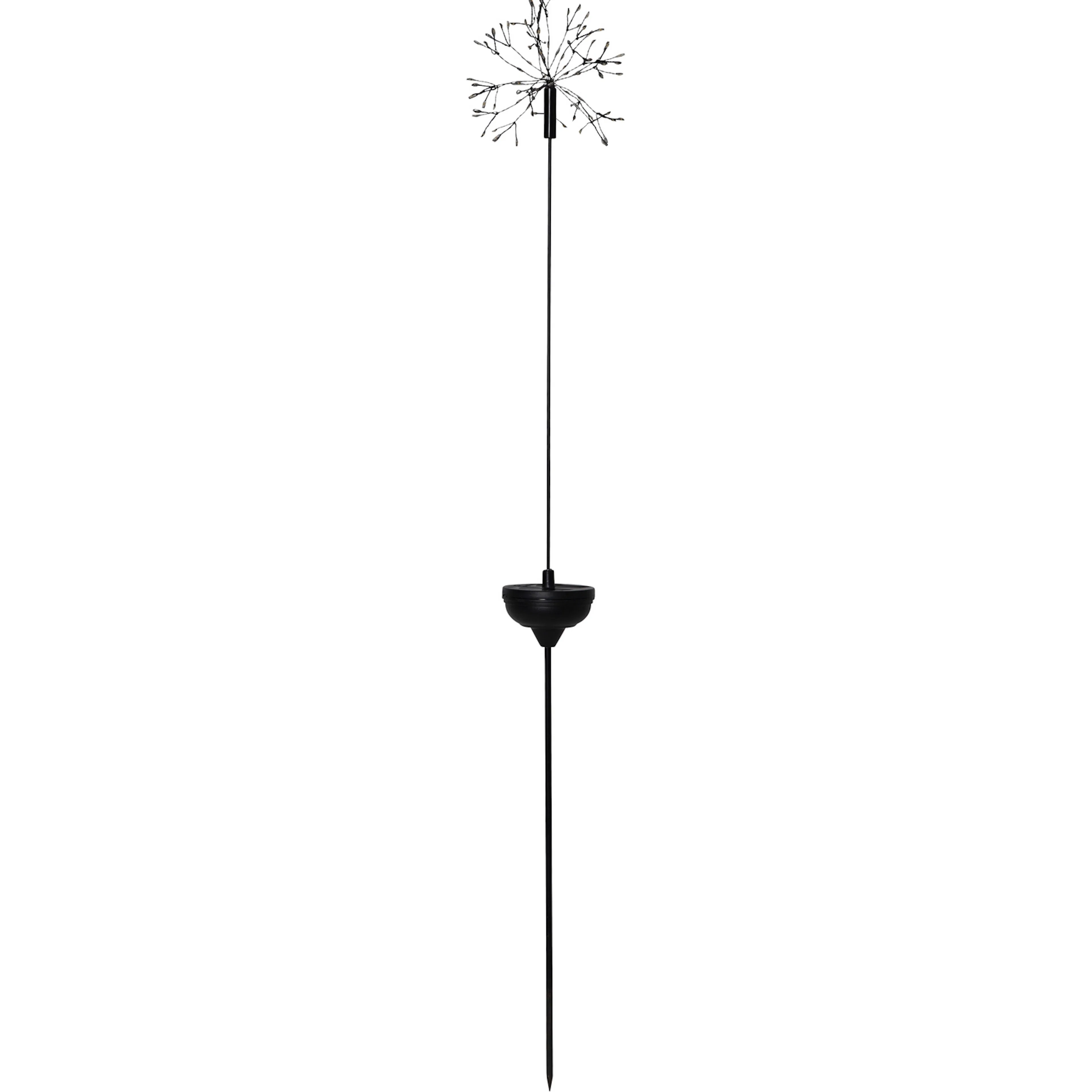 Solcellsdekoration Star Trading Dandelion Firework Twilight