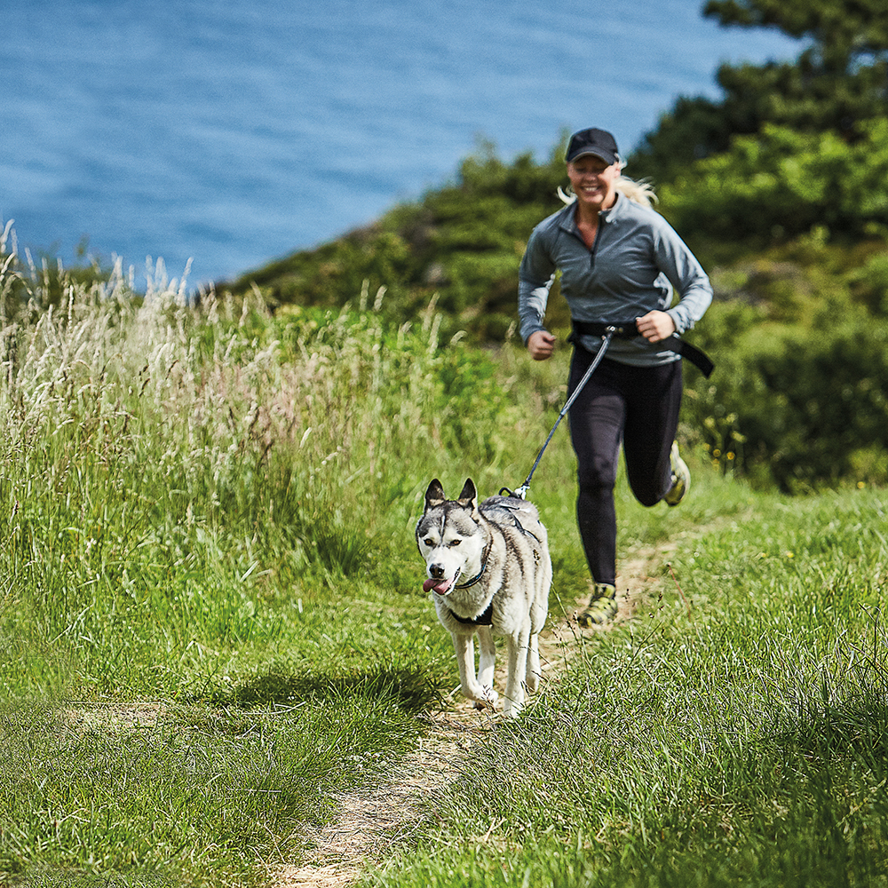 Drag-/kombisele Kennel Equip Nome Active