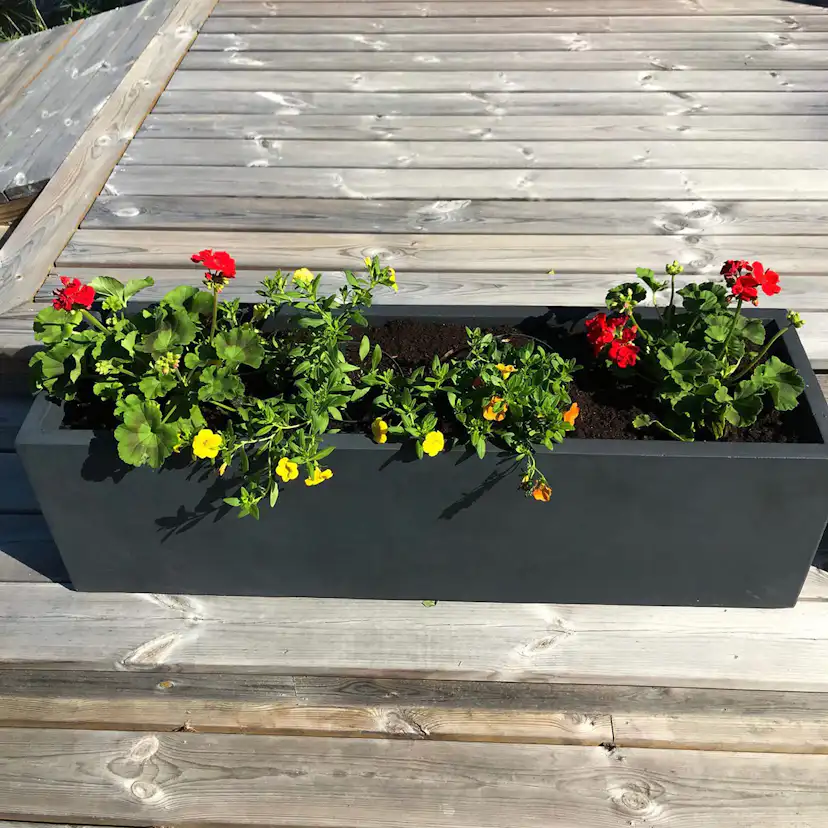 Blomlåda Lyfco Svart 100