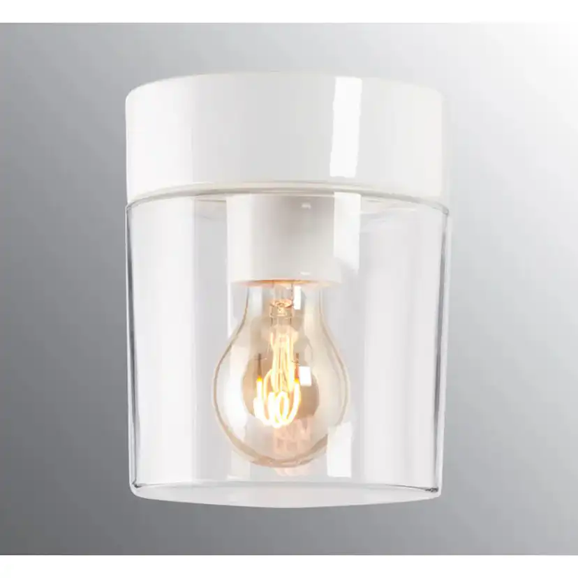 Vägg-/Taklampa Ifö Electric Opus 140/170 Klar E27