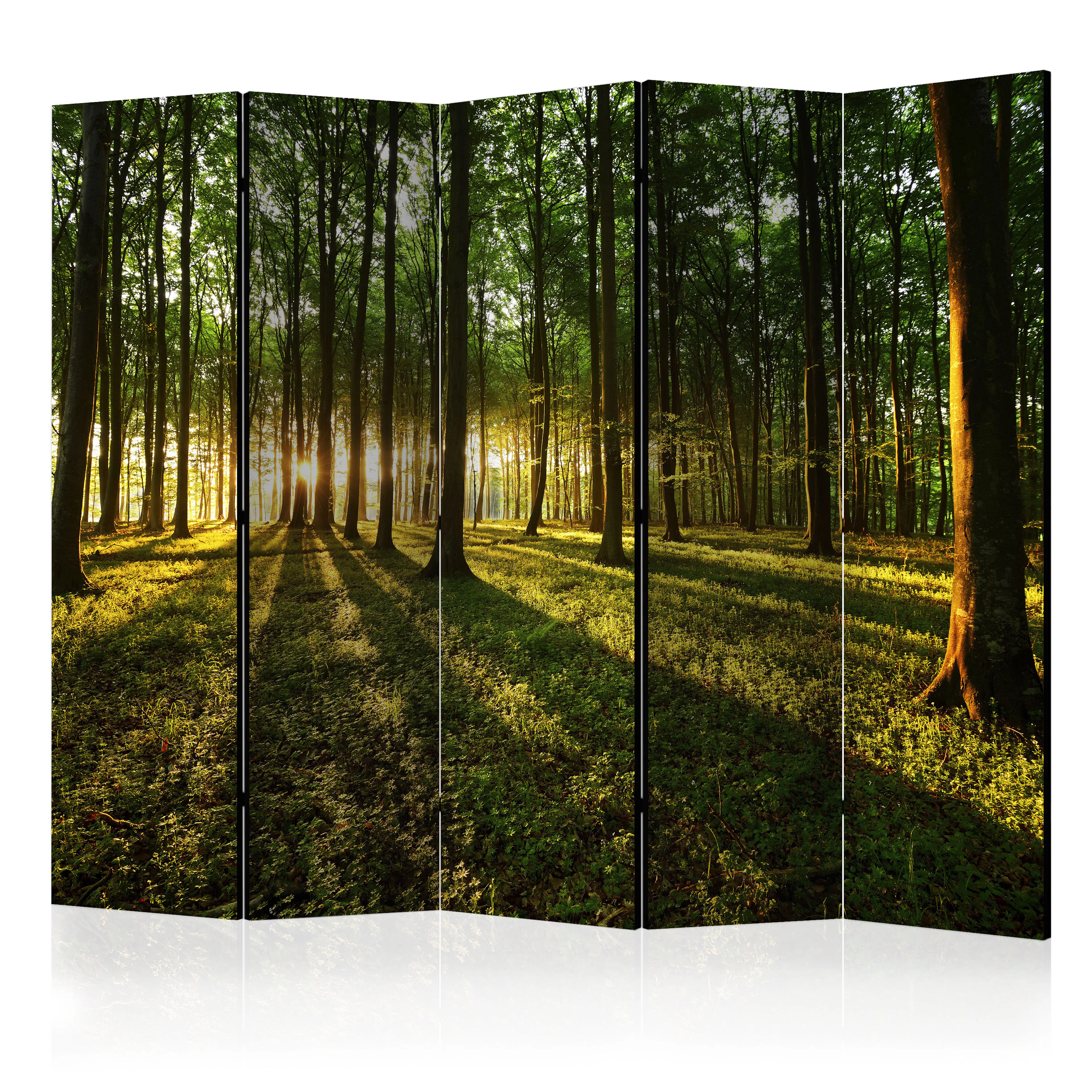Rumsavdelare Skärmvägg Arkiio Morning in the Forest II 225x172 cm