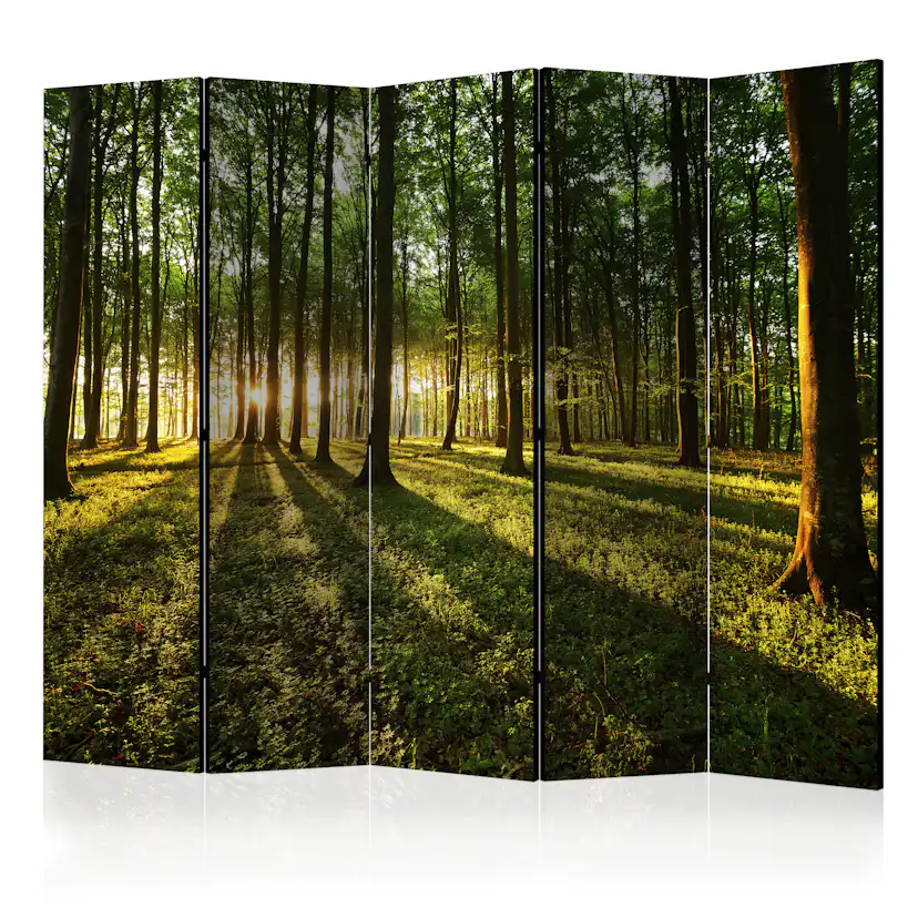 Rumsavdelare Skärmvägg Arkiio Morning in the Forest II 225x172 cm