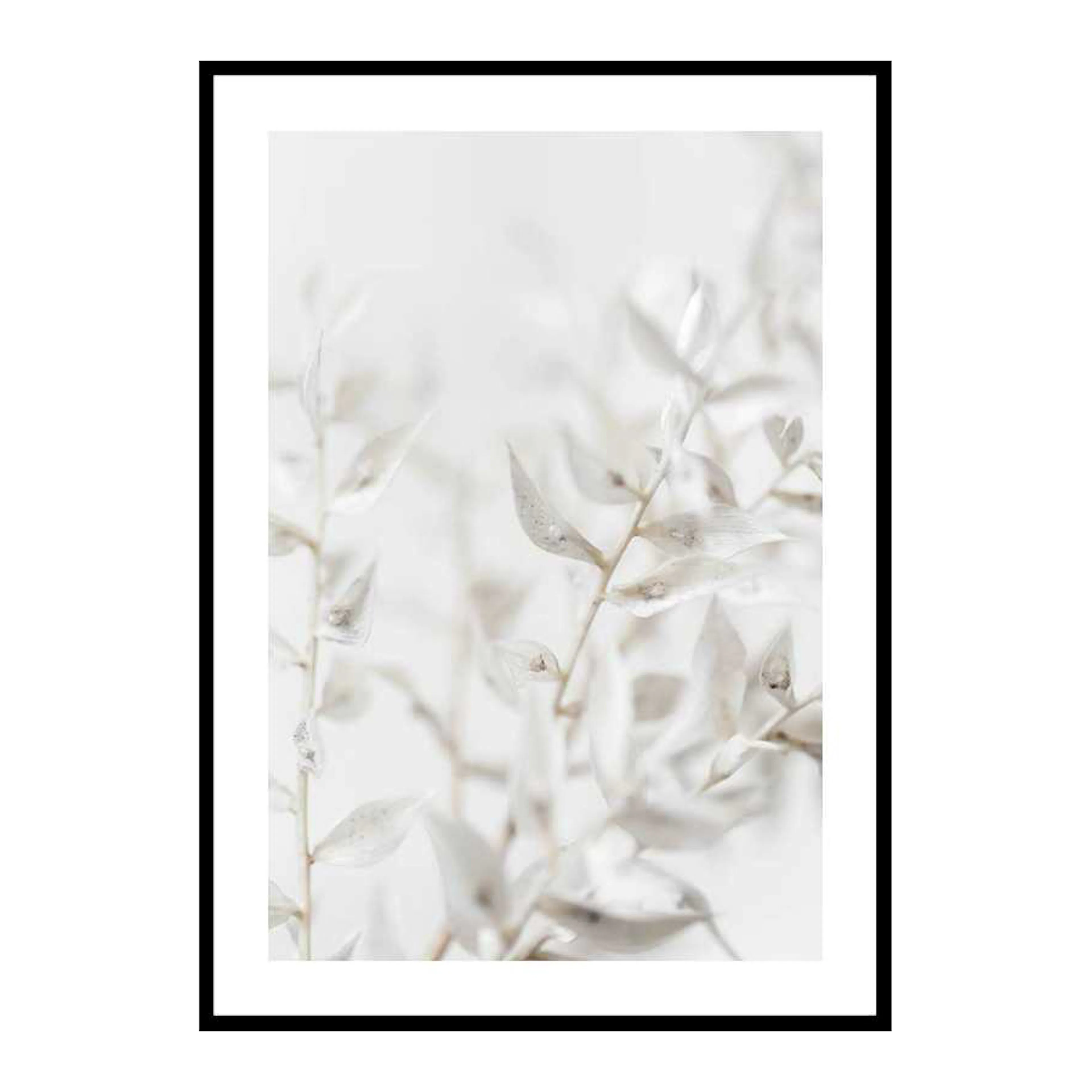 White Dried Flower 50x70 cm