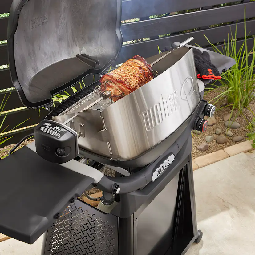 Rotisseri Weber Q3XXXn+