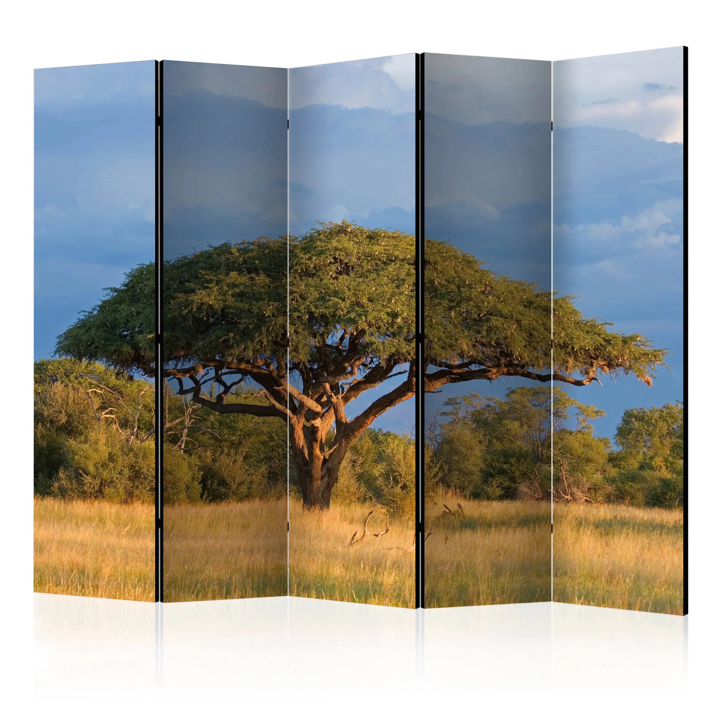 Rumsavdelare Skärmvägg Arkiio African Acacia Tree Hwange National Park Zimbabwe II 225x172 cm