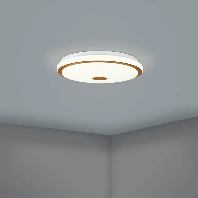 Taklampa Eglo Lanciano 1