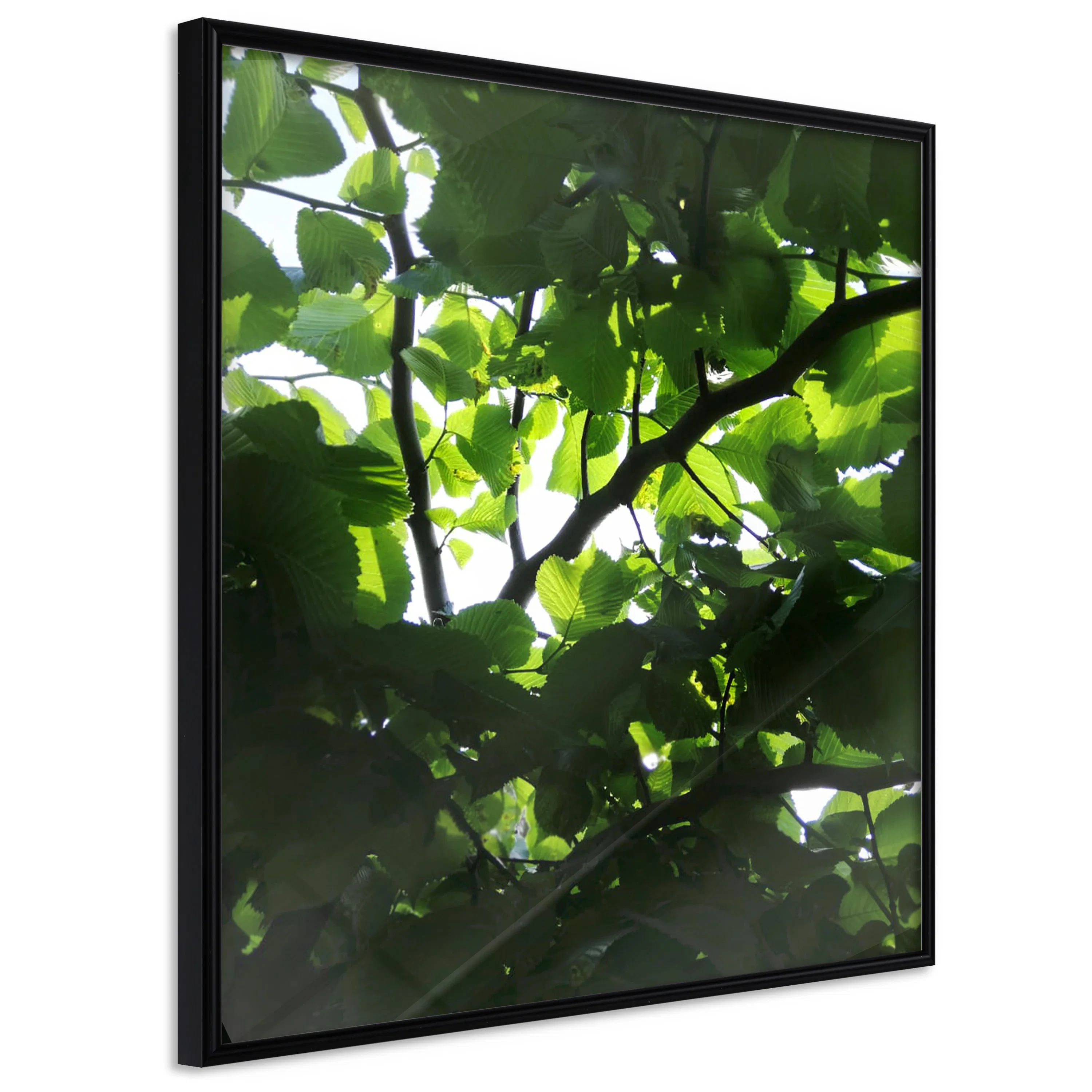 Poster Artgeist Affisch Dawn