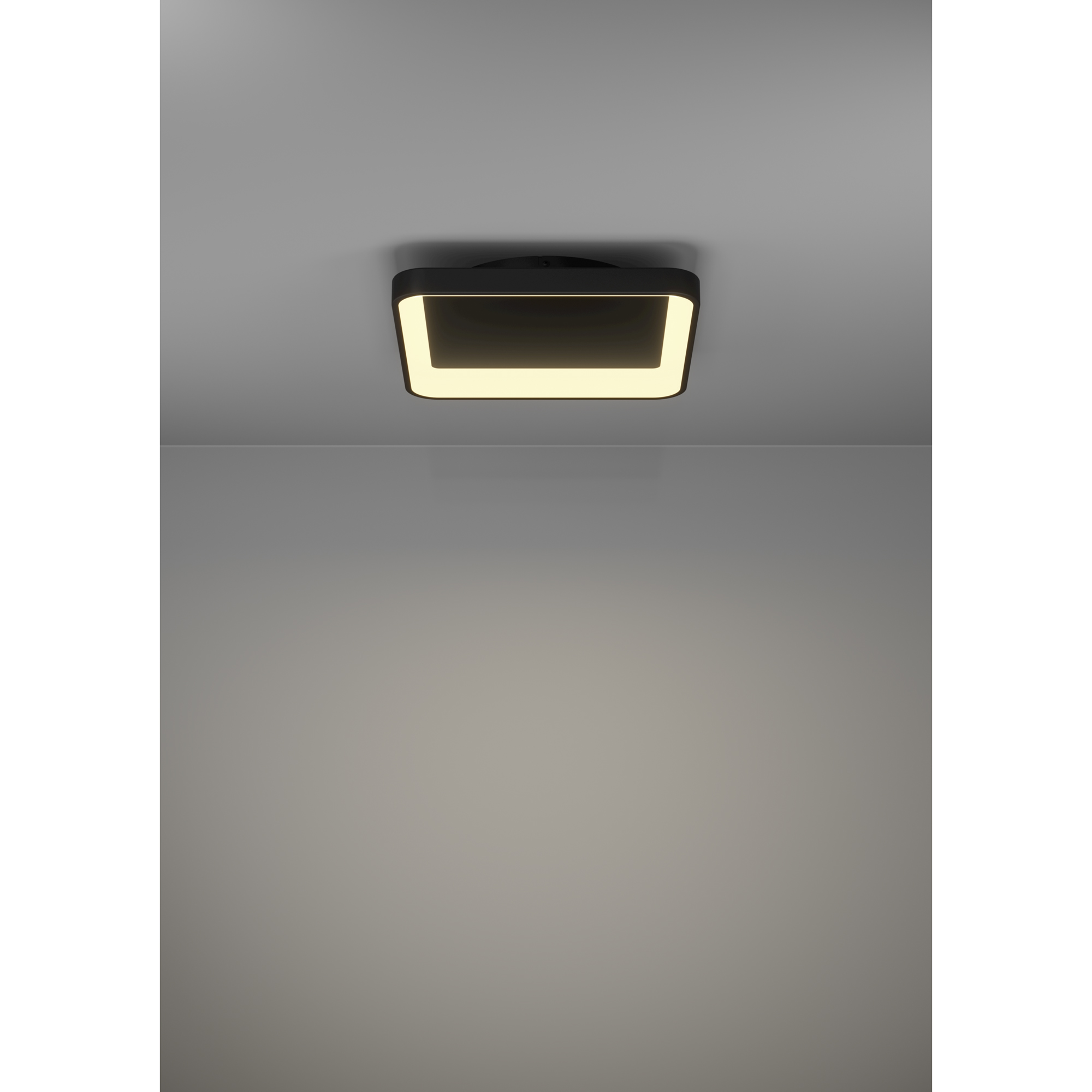 Vägg-/Taklampa Eglo Loretello
