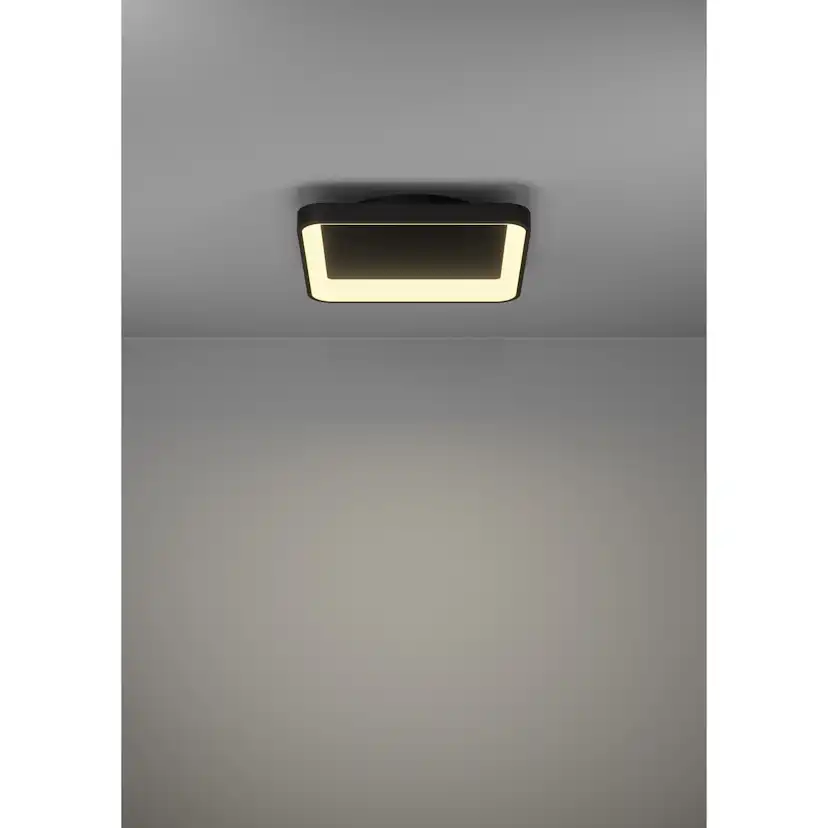 Vägg-/Taklampa Eglo Loretello