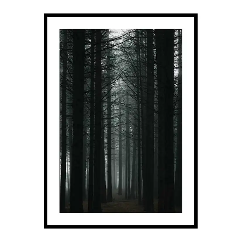 Poster Gallerix Dark Forest