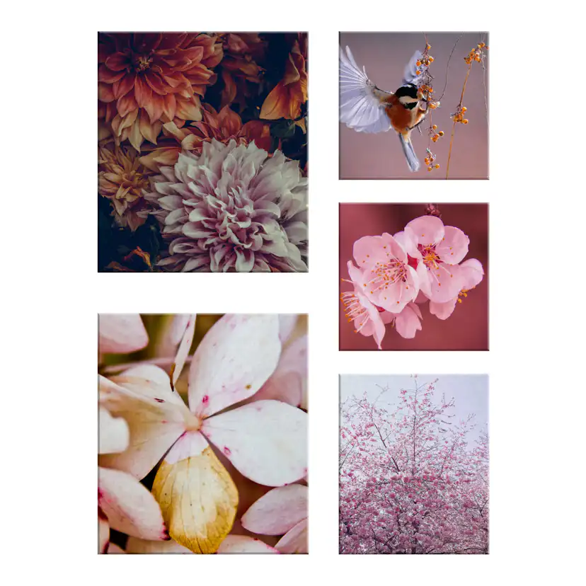 Canvastavla Art For The Home Set av 5 Soft Temptation Ett hav av Blommor 80x60cm