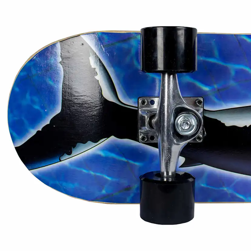 Skateboard Sandbar Shark