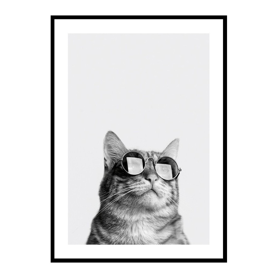 Poster Gallerix Cat With Shades