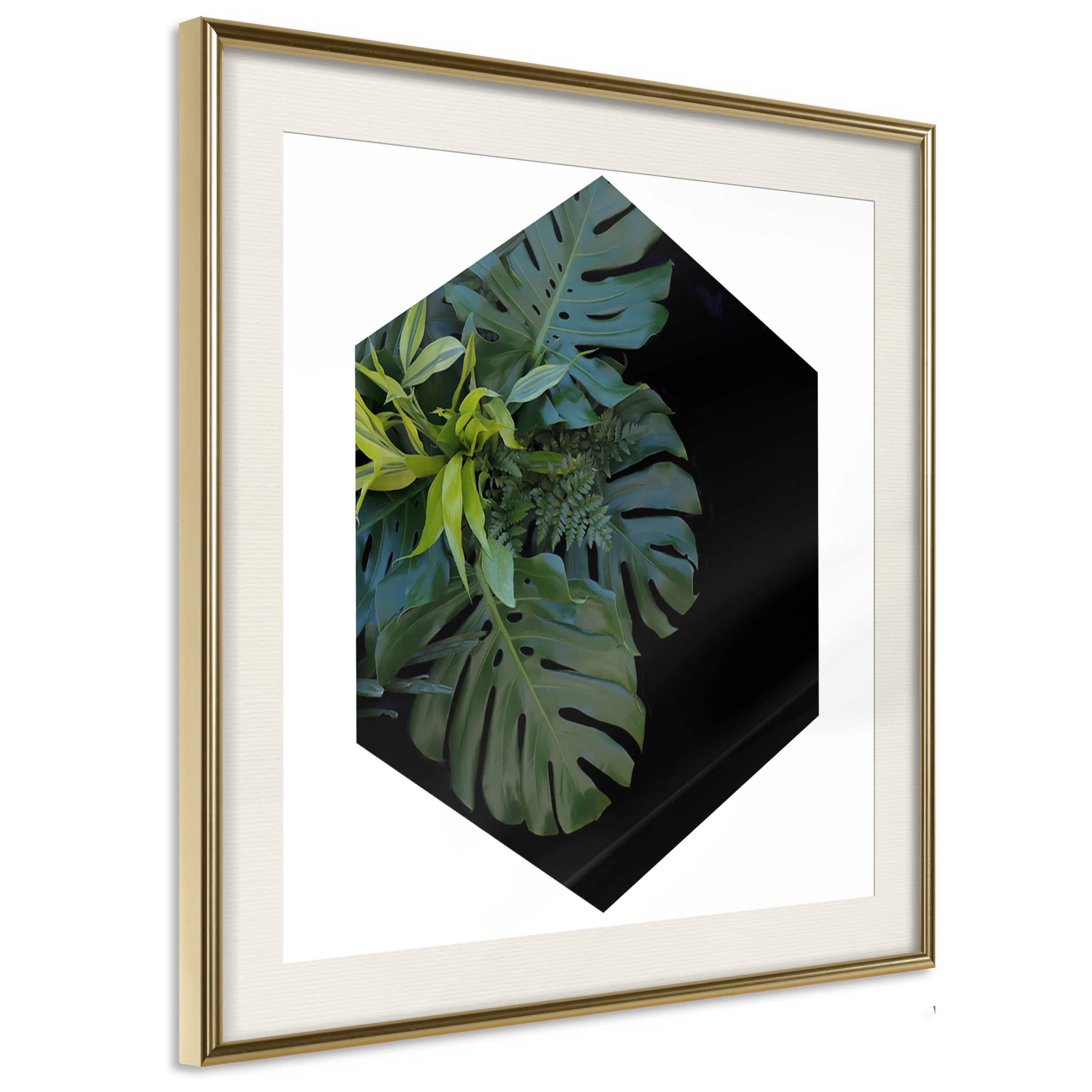 Poster Artgeist Affisch Plant Hexagon