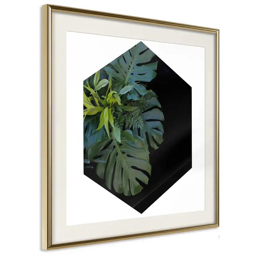 Poster Artgeist Affisch Plant Hexagon