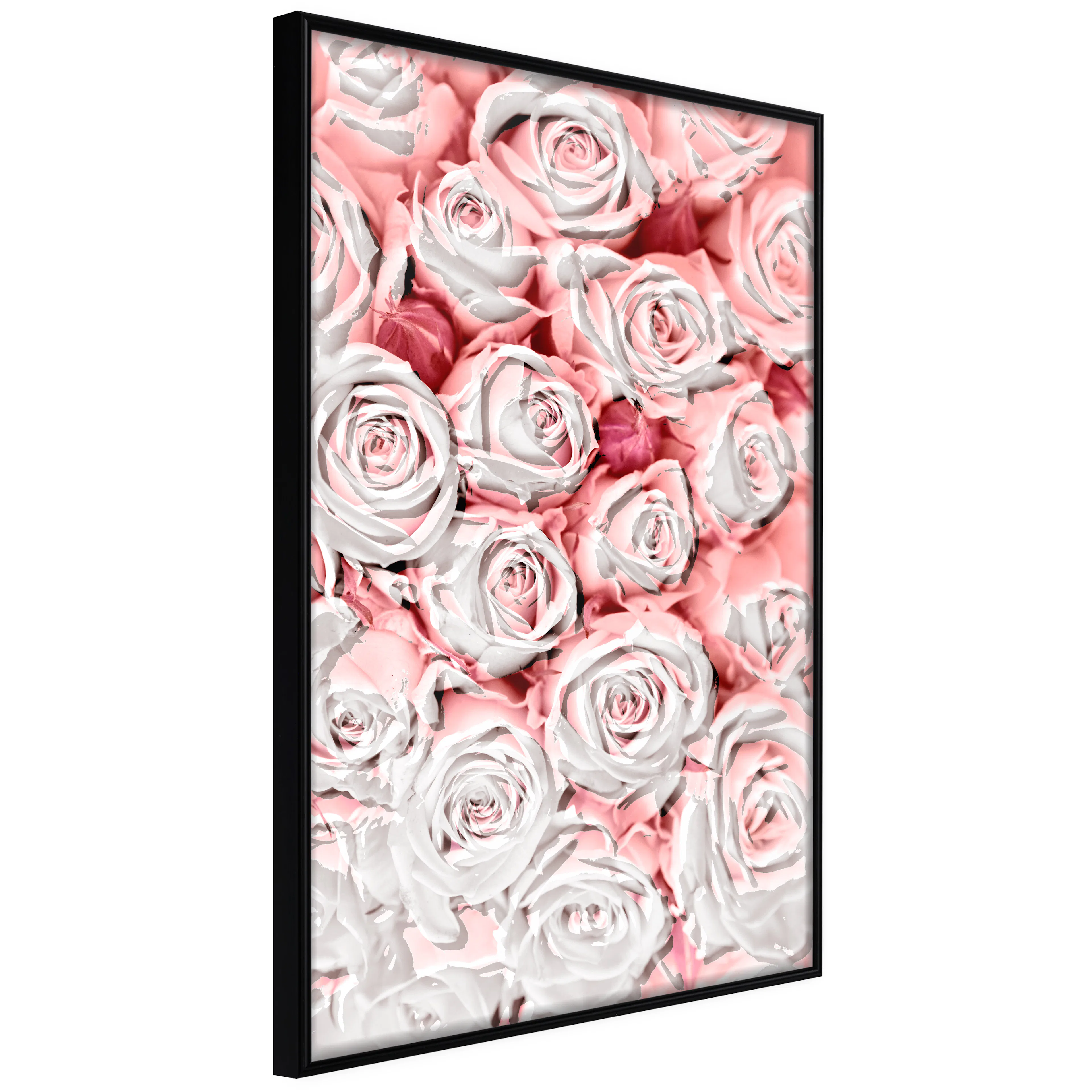 Affisch - White Roses [Poster] 20x30 Svart ram, 20x30 cm