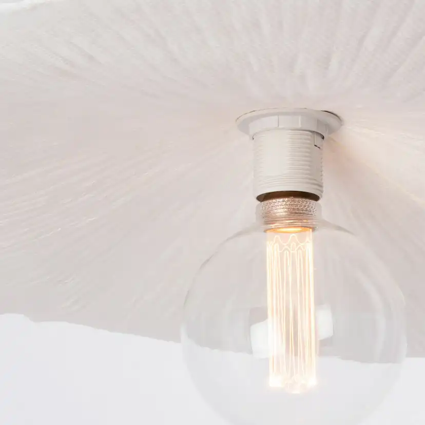 Taklampa Globen Lighting Tropez