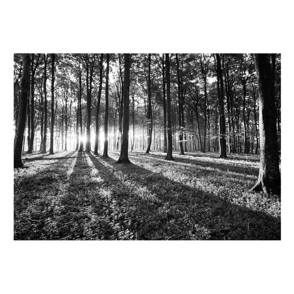 Fototapet Arkiio Självhäftande Grey Wilderness