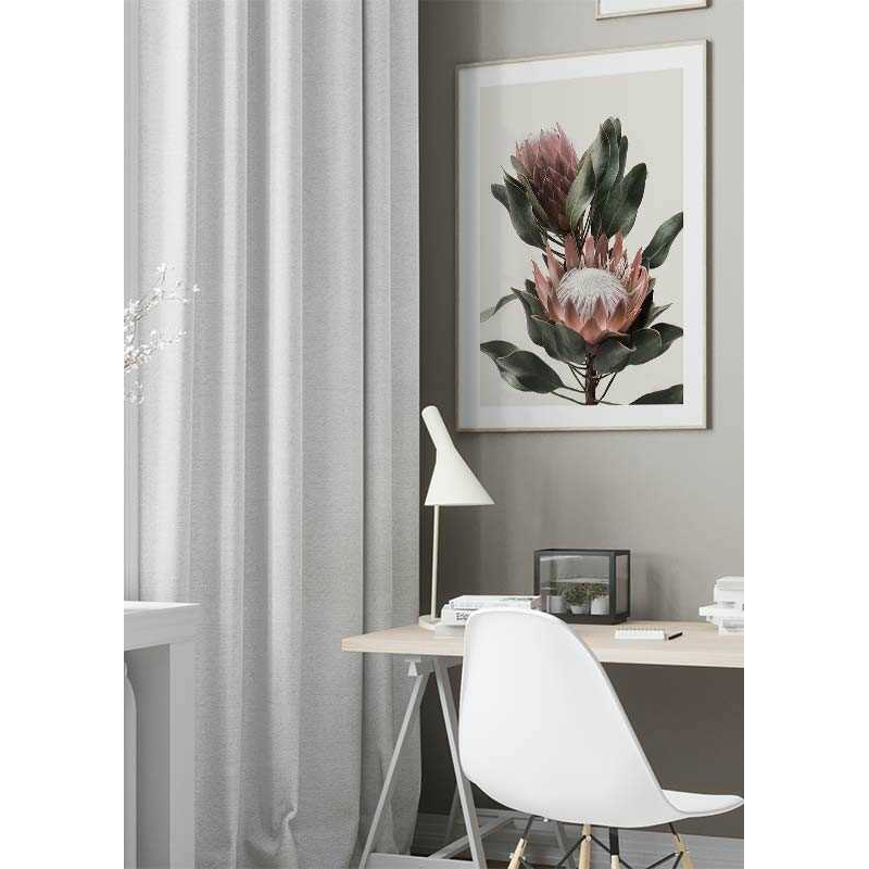 Poster Gallerix Protea Flowers