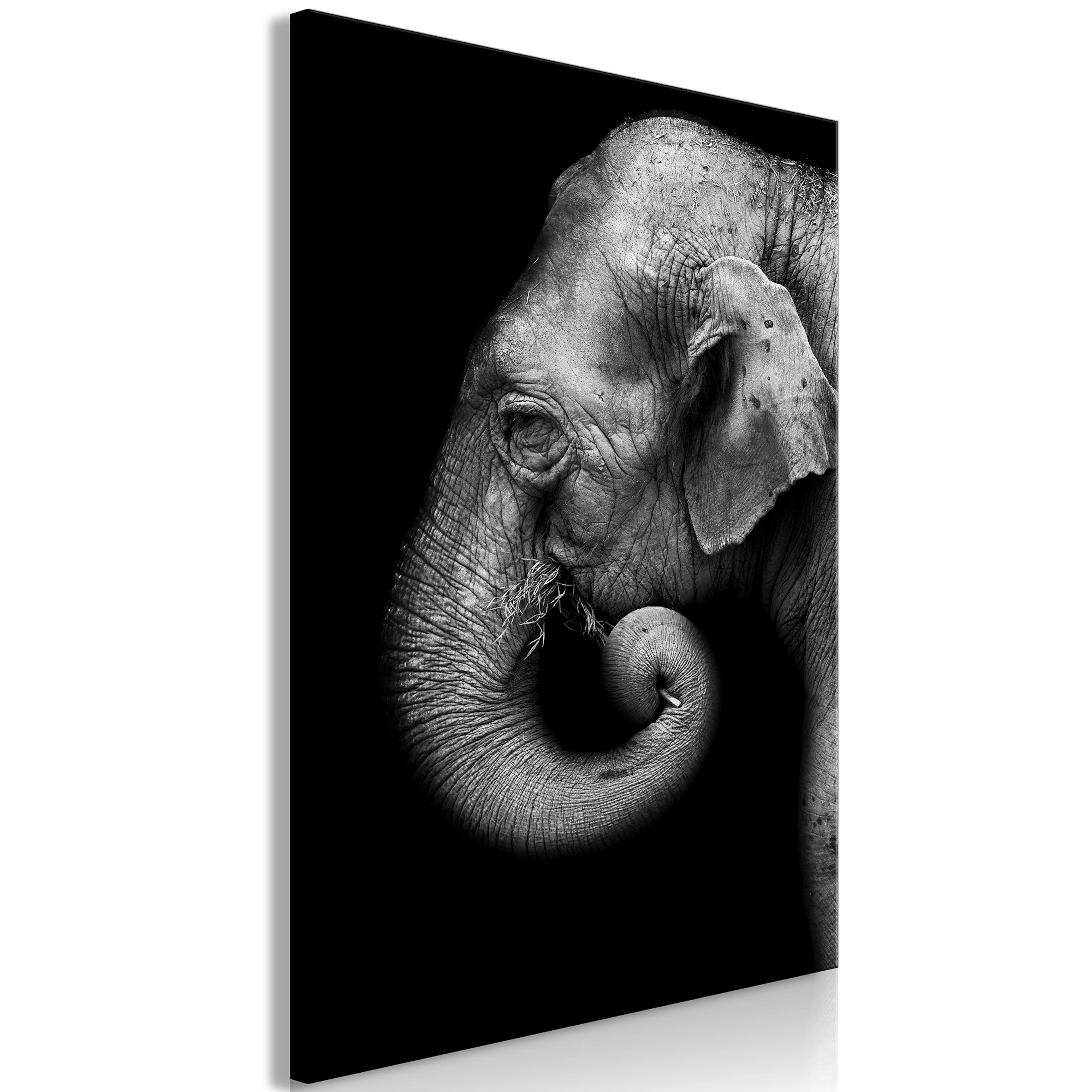 Tavla Arkiio Portrait of Elephant