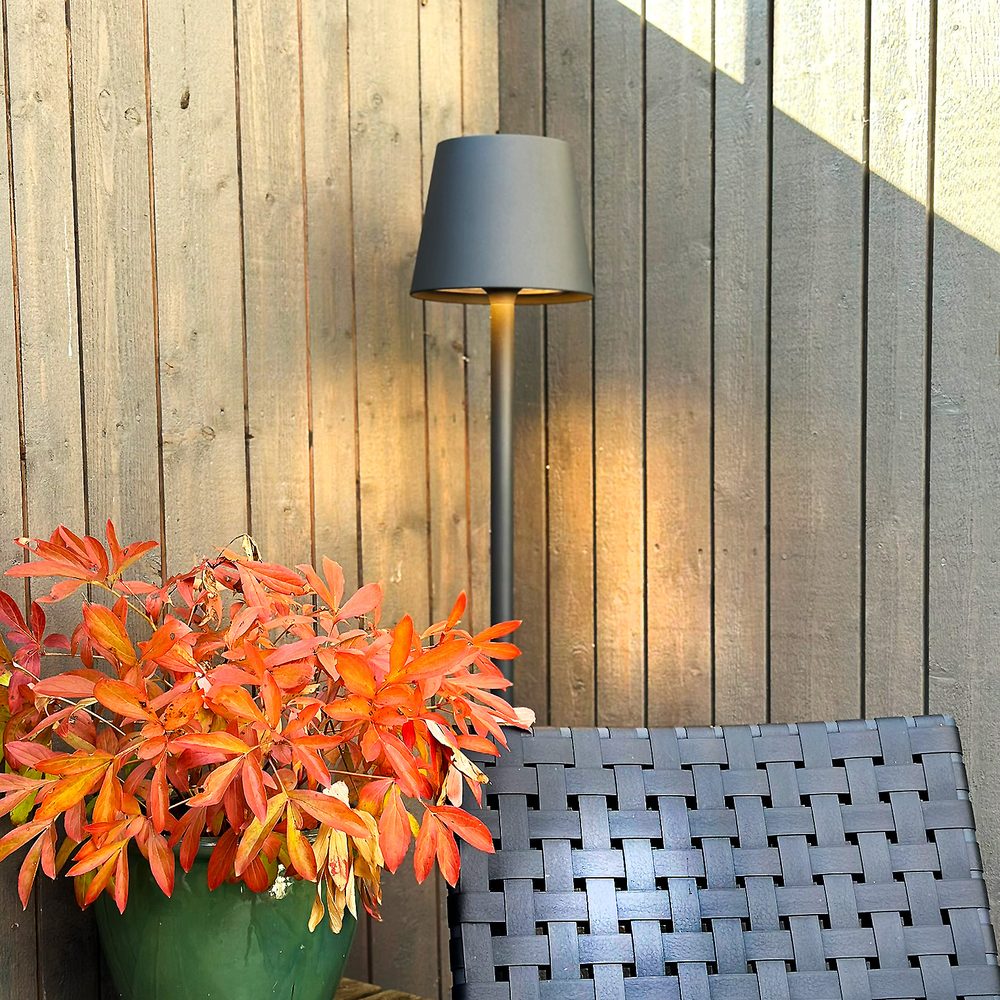 Golvlampa LightsOn Sofy