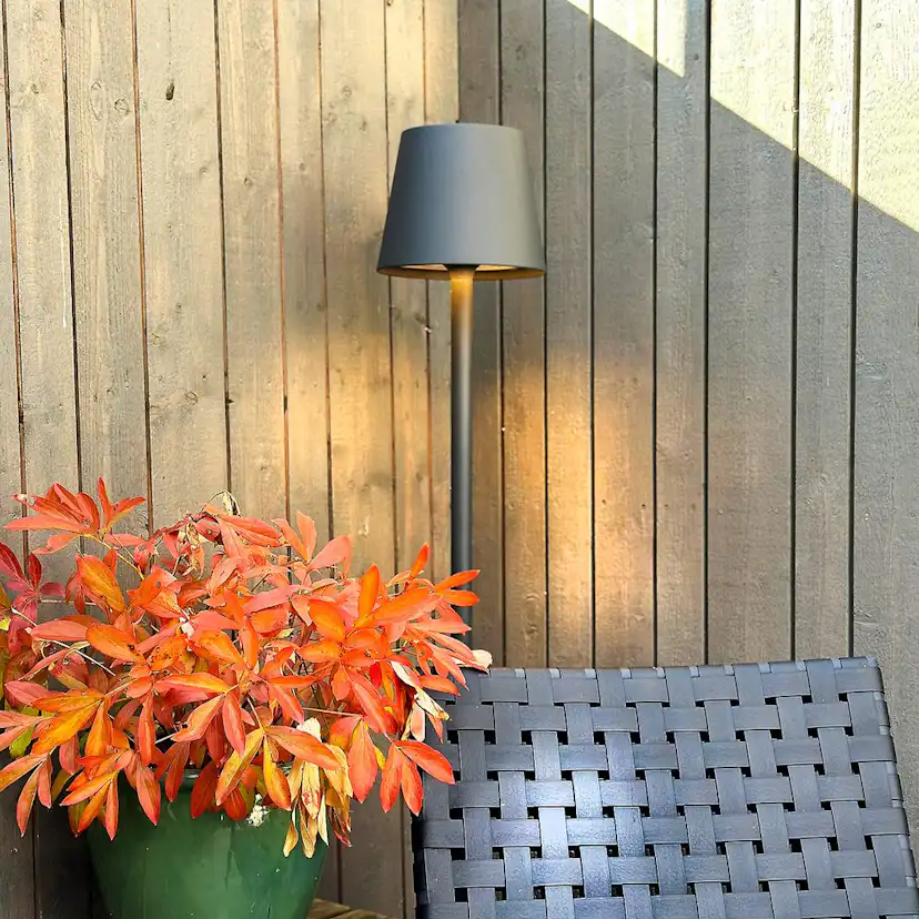 Golvlampa LightsOn Sofy