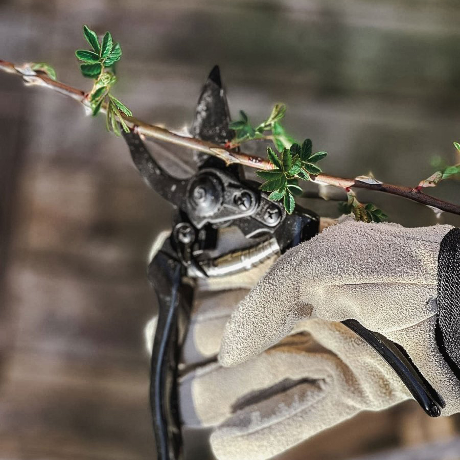 Beskärningskit By Benson Deluxe