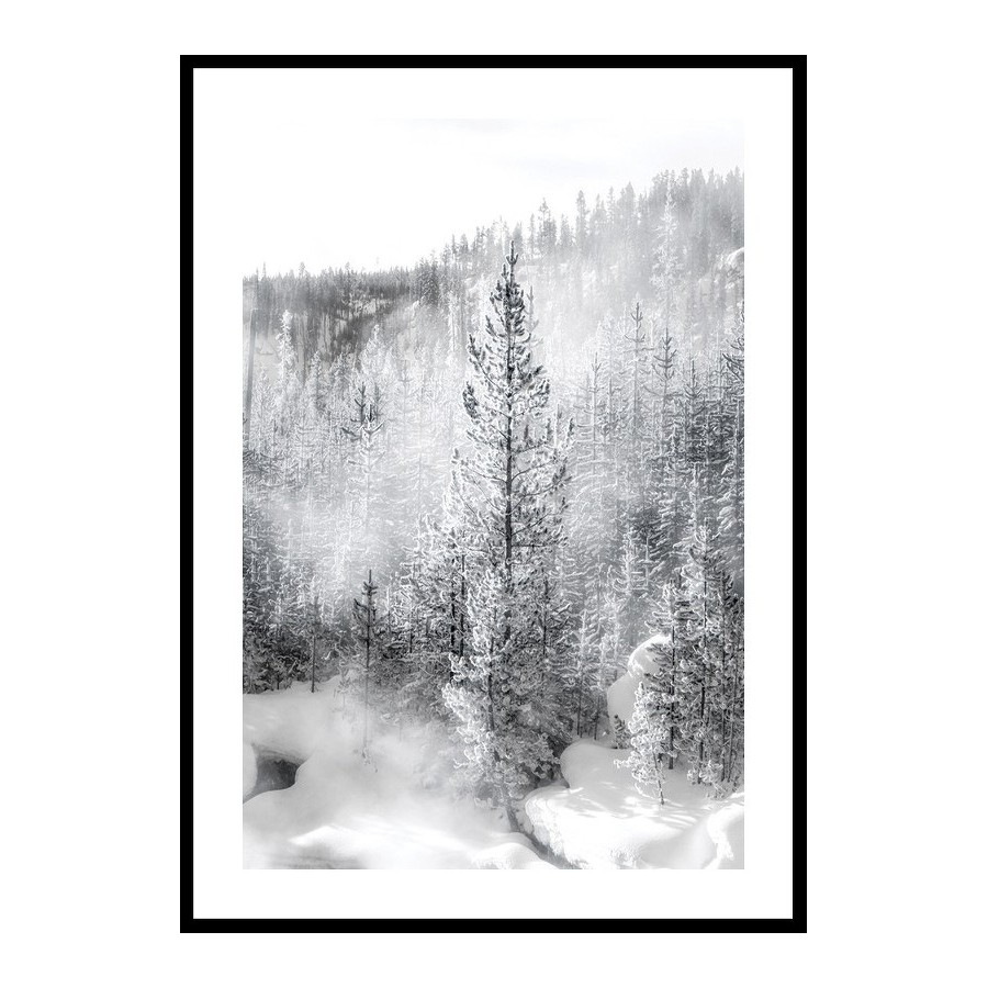 Poster Gallerix A Bright Winters Morning