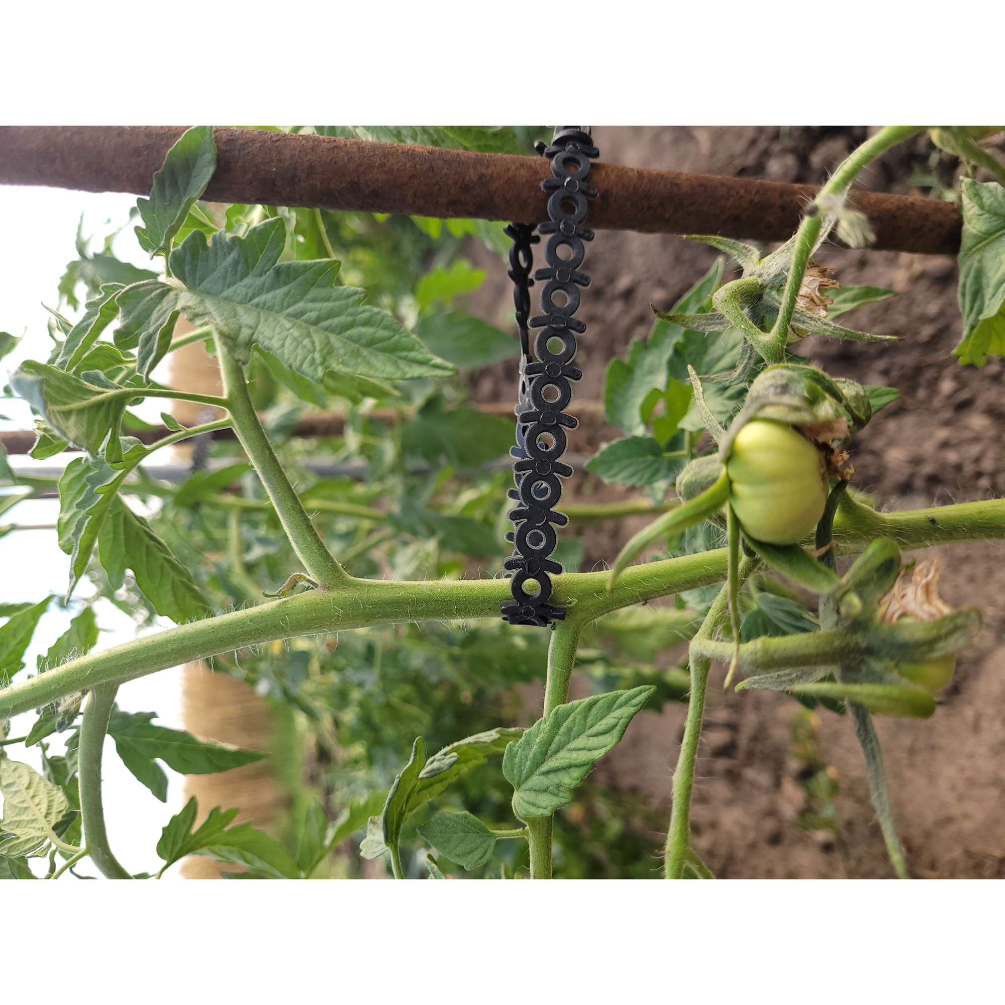 Buntband Jabo Agrimpex Svart 10-pack