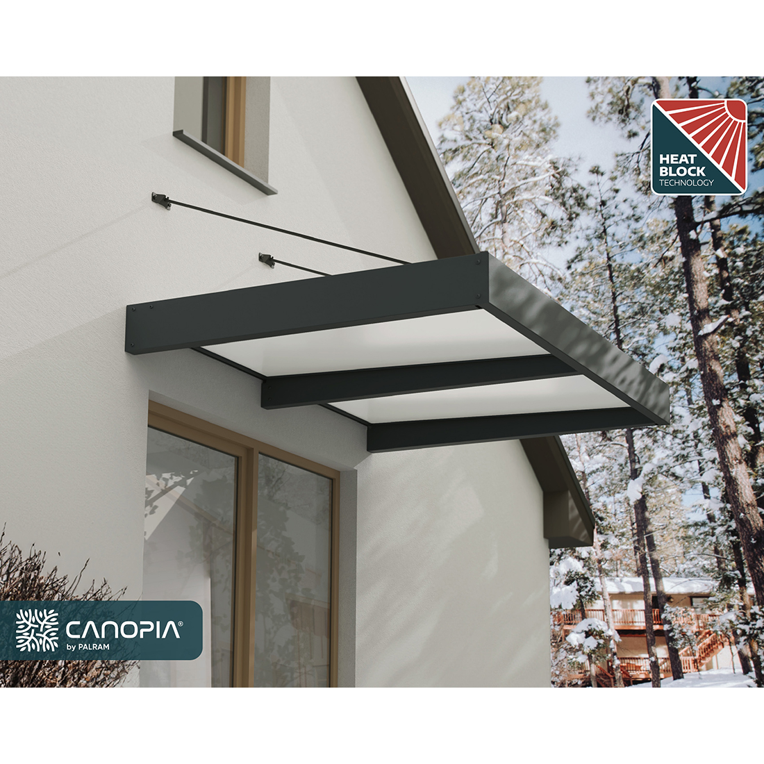 Entrétak Canopia by Palram Taurus Klar Silver 0,9 X 1,5 m