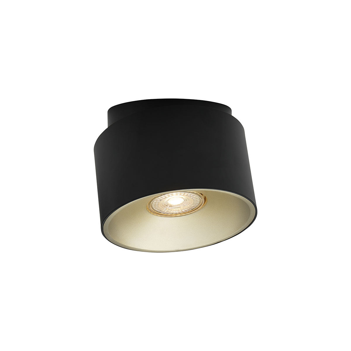 Spotlight Nordlux Torone