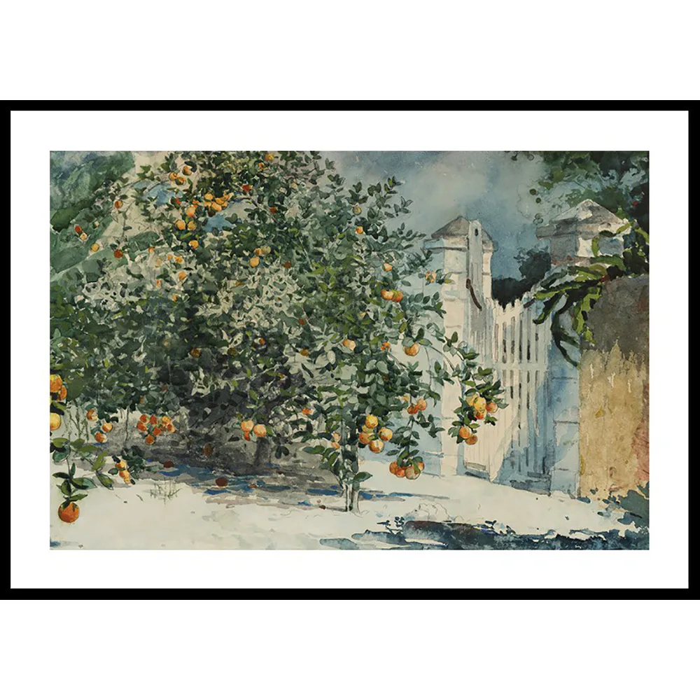 Poster Gallerix Orange Trees And Gate By Winslow Homer