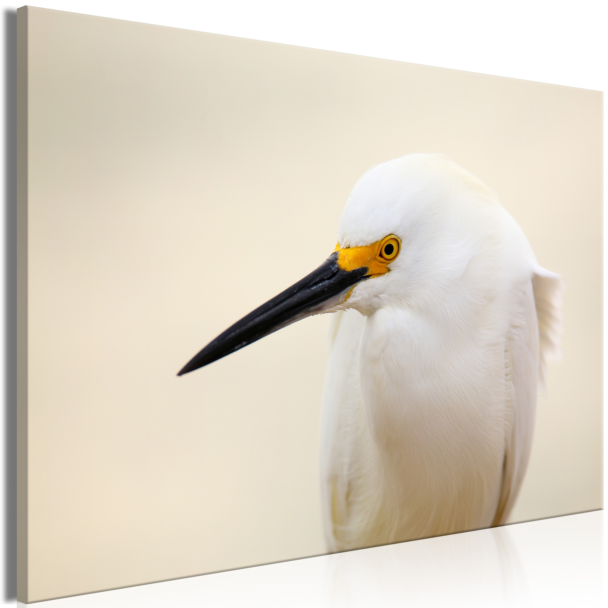 Tavla Arkiio Snowy Egret