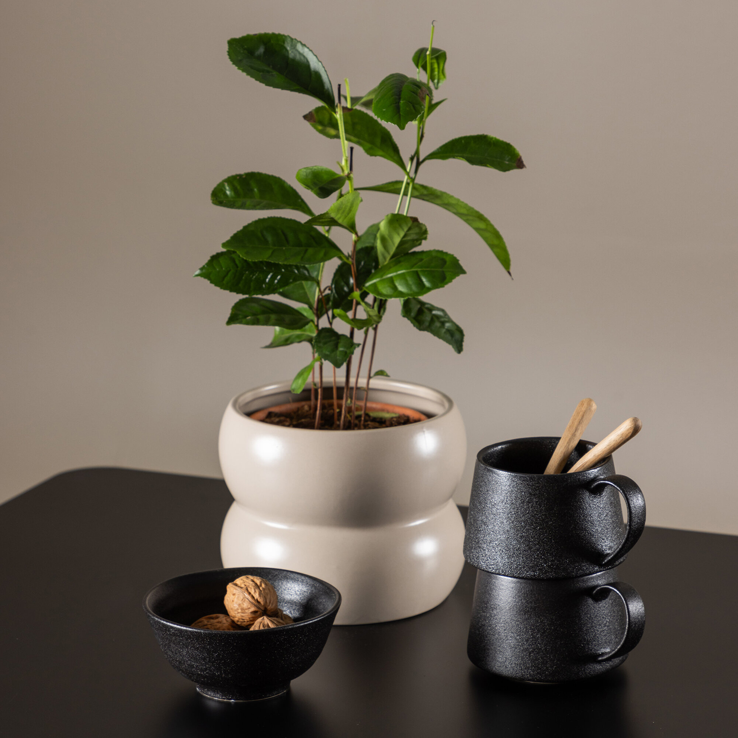 Matgrupp Venture Home Polar 75 med 2 st Polar Stolar Teddy