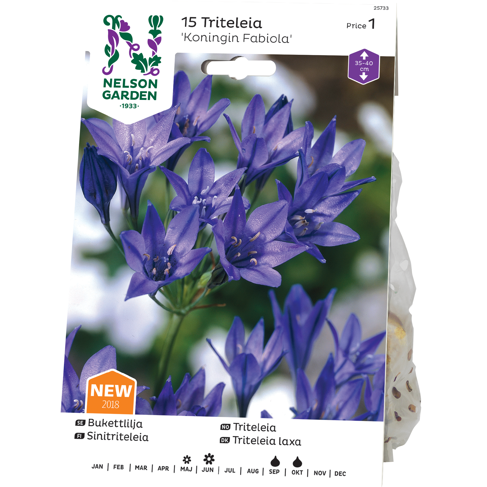 Bukettlilja Nelson Garden Koningin Fabiola