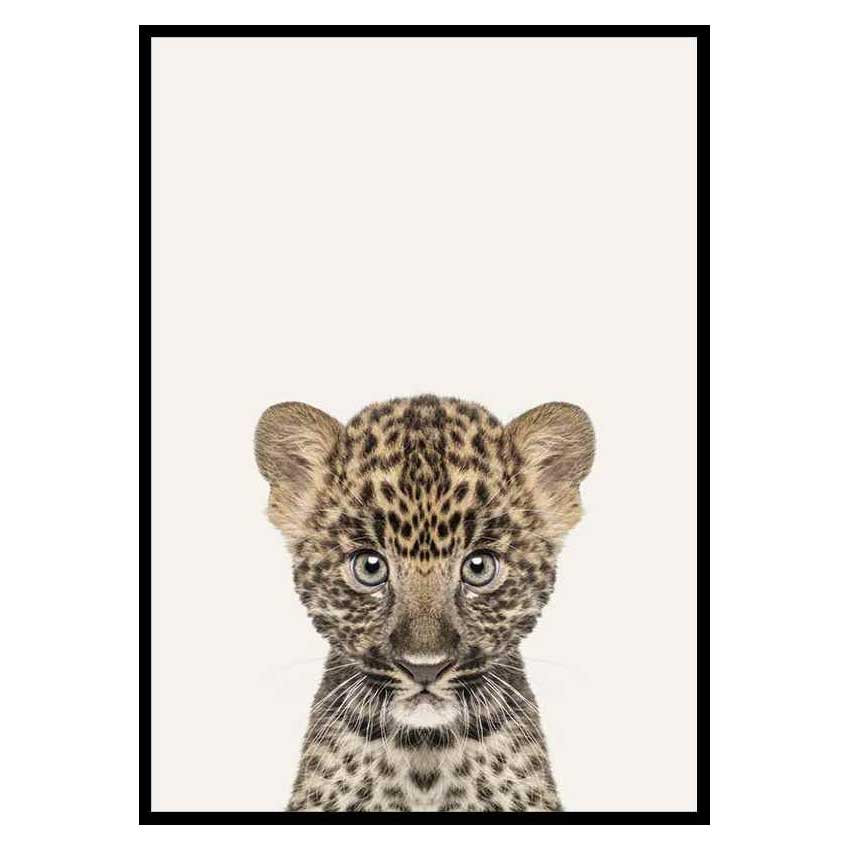 Poster Gallerix Baby Leopard